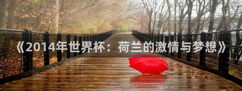 免费足球比赛直播高清:《2014年世界杯:荷兰的激情与梦想》