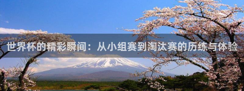 世界杯对阵图2026:世界杯的精彩瞬间:从小组赛到淘汰赛的历练与体验