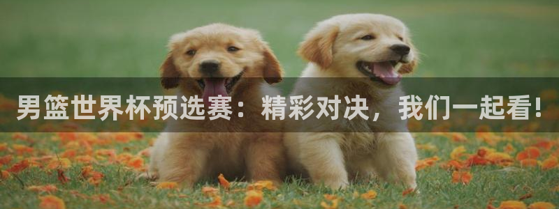 2026葡萄牙杯赛程表:男篮世界杯预选赛:精彩对决,我们一起看!