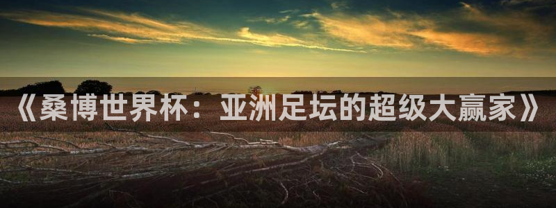 世界杯欧洲预选赛赛程：《桑博世界杯：亚洲足坛的超级大赢家》
