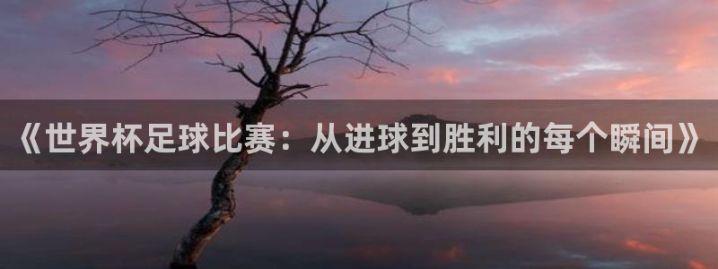 足球比分直播世界杯：《世界杯足球比赛：从进球到胜利的每个瞬间》