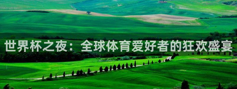 2006世界杯：世界杯之夜：全球体育爱好者的狂欢盛宴
