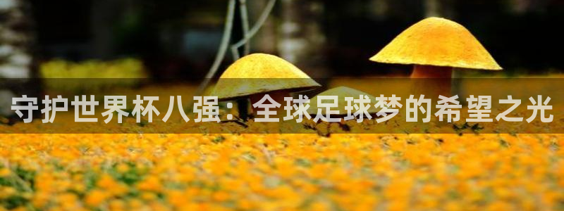 世界杯赛程表2026：守护世界杯八强：全球足球梦的希望之光