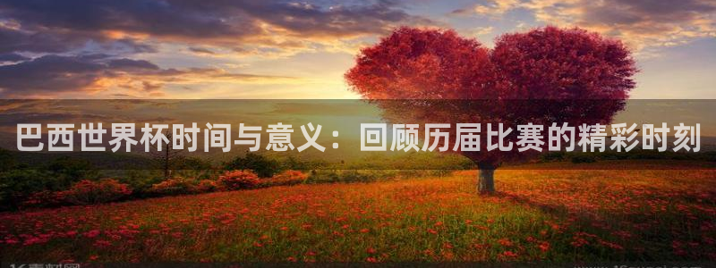世界杯亚洲区预选赛：巴西世界杯时间与意义：回顾历届比赛的精彩时刻