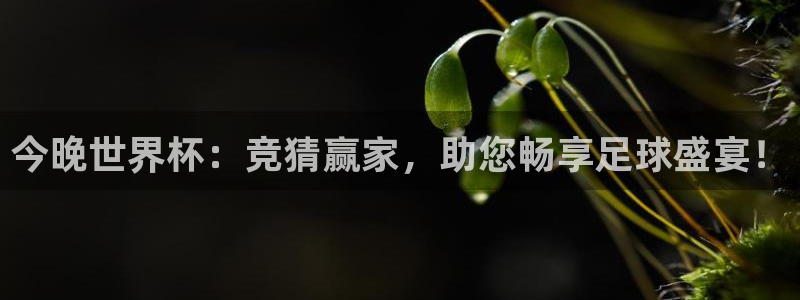 世界杯预选赛欧洲：今晚世界杯：竞猜赢家，助您畅享足球盛宴！