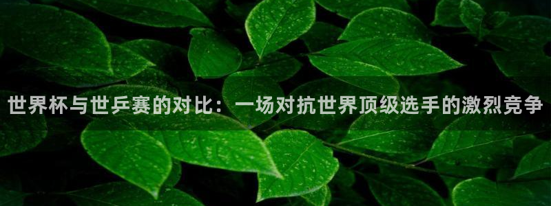 世界杯足球：世界杯与世乒赛的对比：一场对抗世界顶级选手的激烈竞争