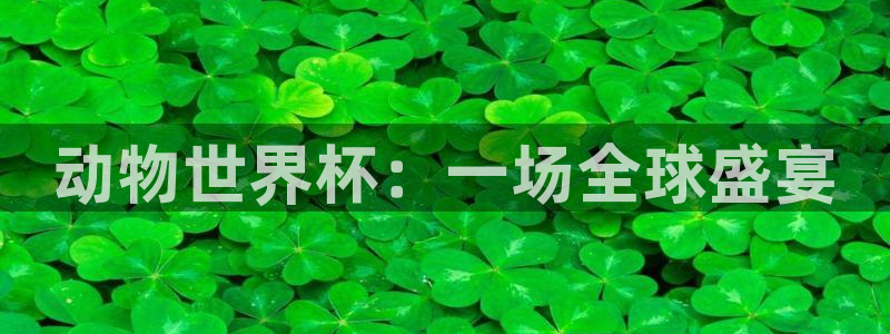 2026年世界杯对阵图：动物世界杯：一场全球盛宴