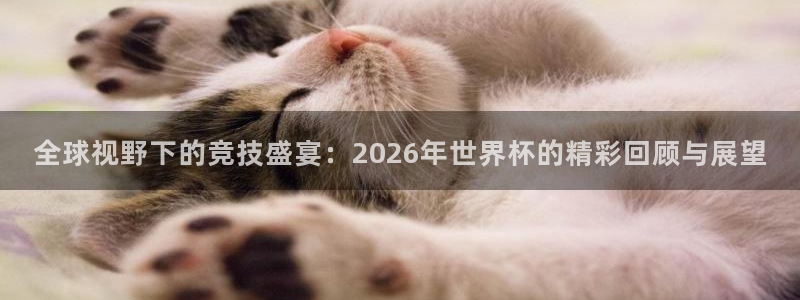 世界杯赛程表：全球视野下的竞技盛宴：2026年世界杯的精彩回顾与展望
