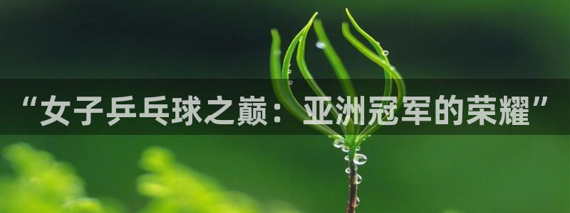 2026世界杯德国队阵容：“女子乒乓球之巅：亚洲冠军的荣耀”