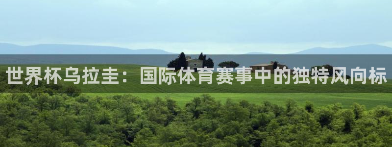 2026年足球世界杯赛程时间表：世界杯乌拉圭：国际体育赛事中的独特风向标