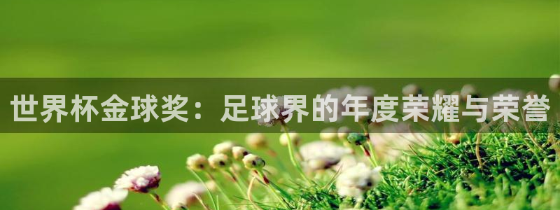 世界杯球队：世界杯金球奖：足球界的年度荣耀与荣誉
