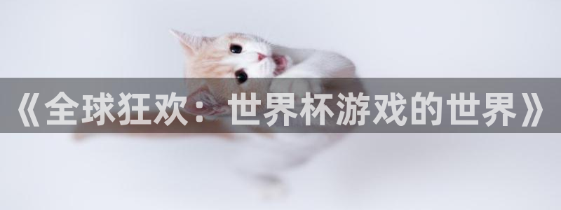 2026世界杯亚洲预选赛赛程：《全球狂欢：世界杯游戏的世界》